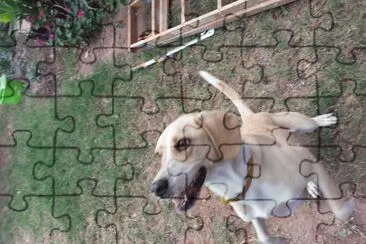 simba jigsaw puzzle