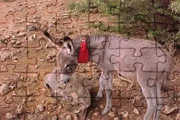 Ellie jigsaw puzzle