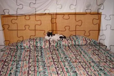 Cou jigsaw puzzle