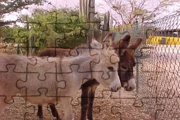 Bram and Friend jigsaw puzzle