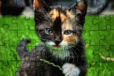 . jigsaw puzzle