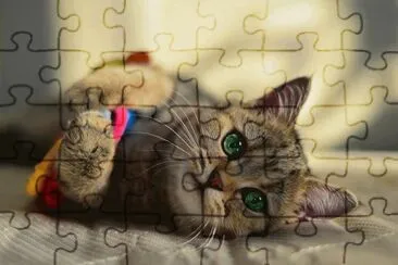 . jigsaw puzzle