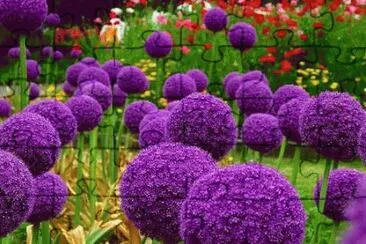 Bolas de Flores jigsaw puzzle