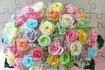 12 jigsaw puzzle