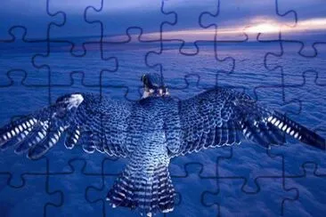 18 jigsaw puzzle