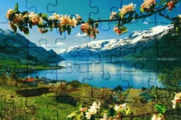 20 jigsaw puzzle