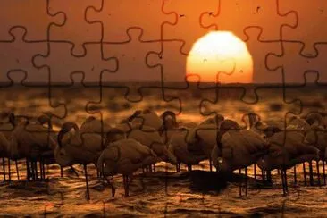 24 jigsaw puzzle