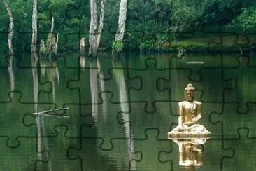 43