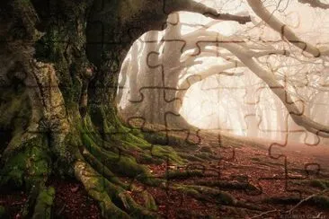 79 jigsaw puzzle