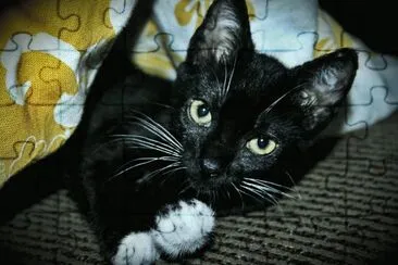 My cat =^.^= jigsaw puzzle