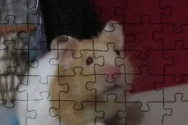 פאזל של Rambito