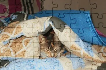 Camy en lacama jigsaw puzzle
