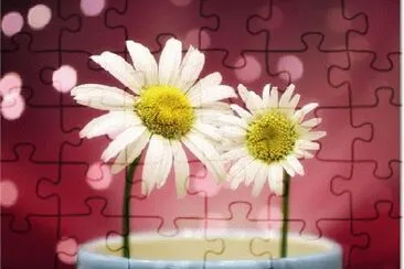 image jigsaw puzzle