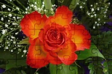 Flors taronges 01