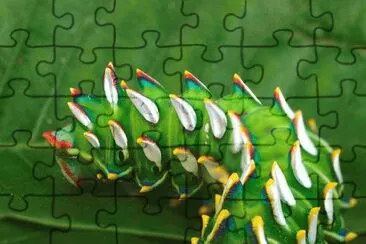 . jigsaw puzzle