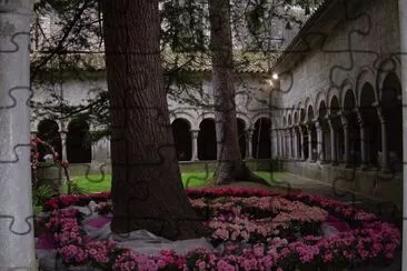 Temps de flors