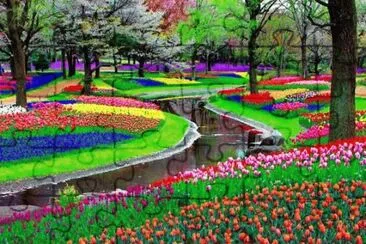 Jardim de Keukenhof, Amsterdam - Holanda