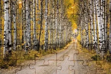 Caminho jigsaw puzzle