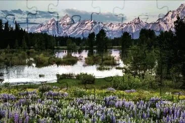 Grand Tetons - Wyoming