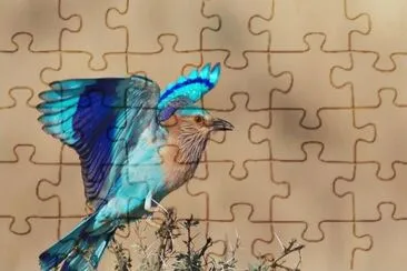 . jigsaw puzzle