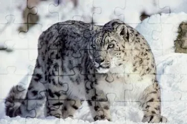 . jigsaw puzzle