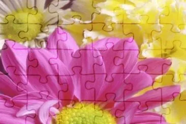 image jigsaw puzzle