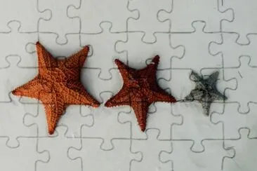 ESTRELLAS jigsaw puzzle