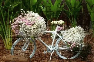 Bicicleta Floral