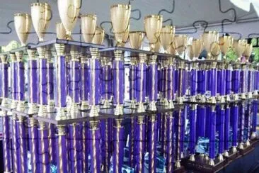 Trophies for MTA Rodeo