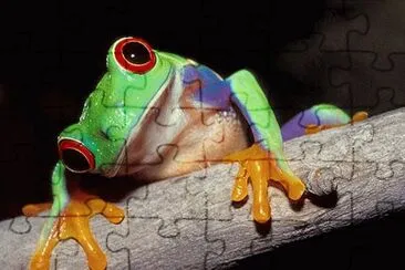 RANA jigsaw puzzle