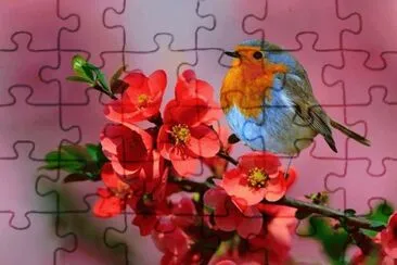 pp jigsaw puzzle