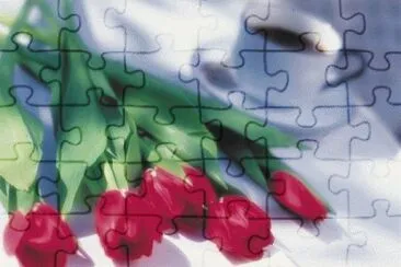 image jigsaw puzzle