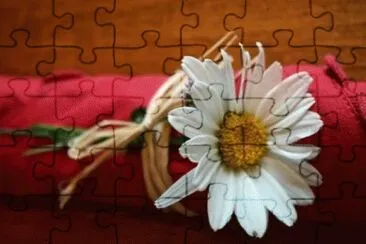 image jigsaw puzzle