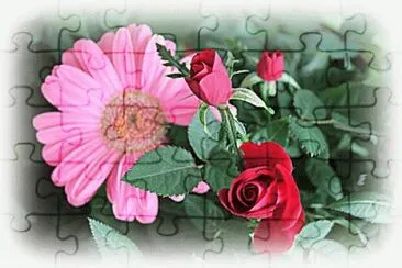 image jigsaw puzzle