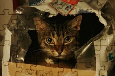 Cat in a Box jigsaw puzzle