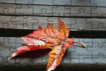 93 jigsaw puzzle