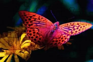 127 jigsaw puzzle