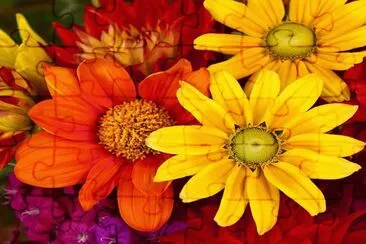 135 jigsaw puzzle