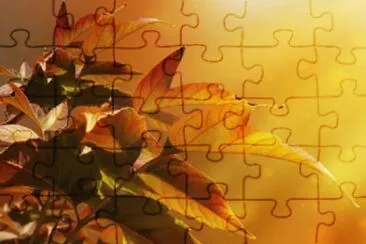 136 jigsaw puzzle