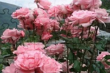 FLOR jigsaw puzzle