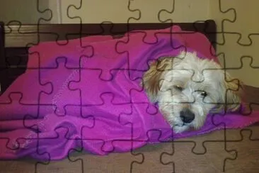 sueÃ±o jigsaw puzzle