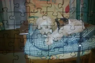 sueÃ±o