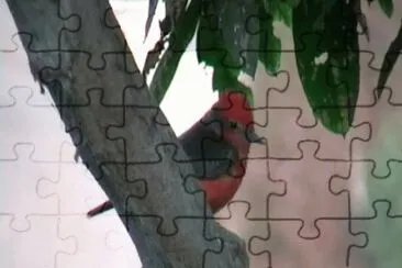 Turtupilin, ave de Oquendo - Callao - PerÃº. jigsaw puzzle
