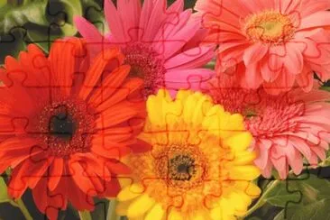 image jigsaw puzzle