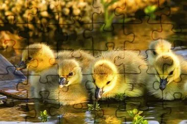. jigsaw puzzle