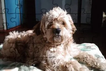 al sol