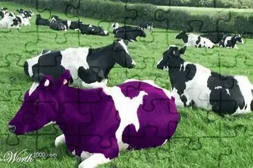 Purple Cow jigsaw puzzle