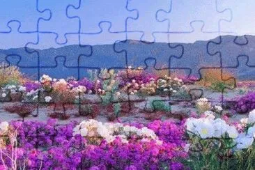 215 jigsaw puzzle
