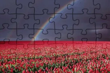 arcoiris jigsaw puzzle