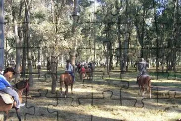 cabalgata por el bosque